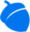 Blue Acorn iCi