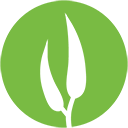 Eucalypt Media